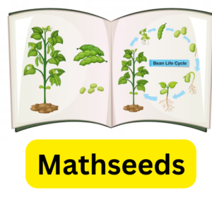 Online Math Games That Make Learning Fun