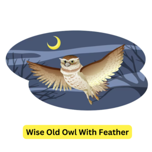 The Magical Forest Adventure 1