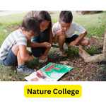 Fun and Creative Craft Ideas for Kids